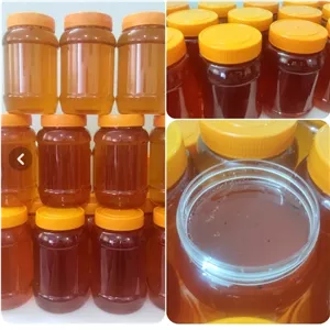 عسل کندو طبیعی محلی اصل تضمینی