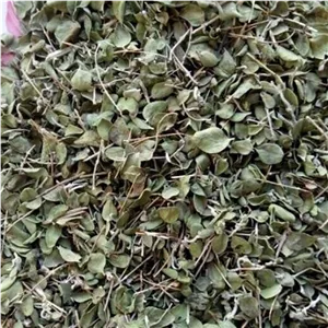 آویشن کوهی برگ پهن
