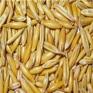 جو دوسر ارگانیک، تمیز و شسته شده