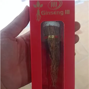 ریشه جنسینگ 111 