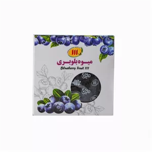 میوه خشک بلوبری 111 - 100 گرم
