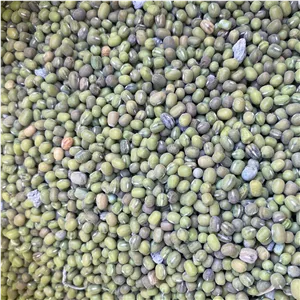 ماش پلویی 