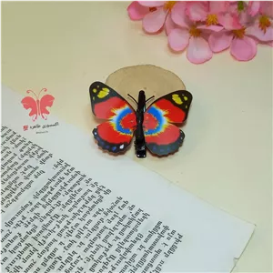 گیره سر انبری پروانه ای کد 602