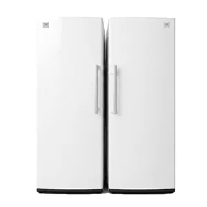 یخچال فریزر دوقلو 30 فوت دوو مدل DR-O4491DR-U3391