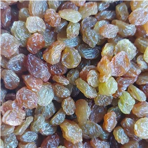 کشمش پلویی (آبگیری) کیفیت عالی قیمت مناسب 