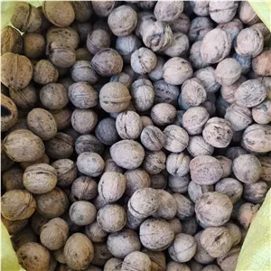 گردو مغز پر تویسرکان