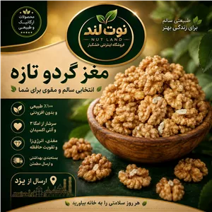مغز گردو تازه و درجه یک