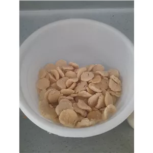 کشک خشک شده بهداشتی