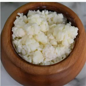 قارچ کفیر قفقازی (استارتر ماست پروبیوتیک) فعال 120 گرمی