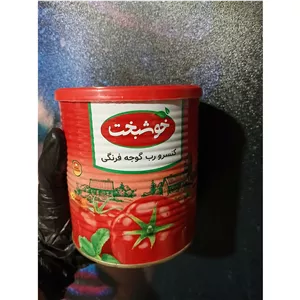 رب گوجه فرنگی خوشبخت 800گرم قیمت قدیم