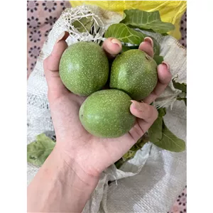 گردو با پوست ممتاز درجه یک