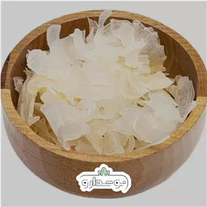 کتیرا صدفی اعلا 10 گرمی (پسکرایه)
