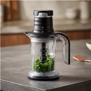 خرد کن و غذاساز حرفه ای روزنبرگ مدل 300 (پس کرایه)