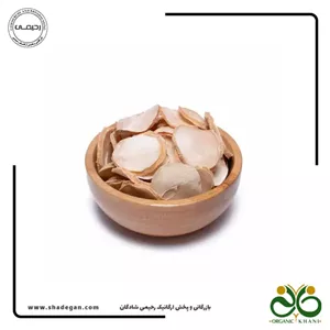 موسیر اعلاء