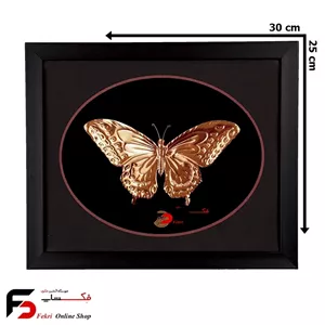 تابلو مس پروانه 3