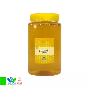 عسل معمولی (تغذیه شده - روزانه) - یک کیلو