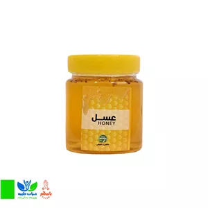 عسل معمولی (تغذیه شده - روزانه) - نیم کیلو