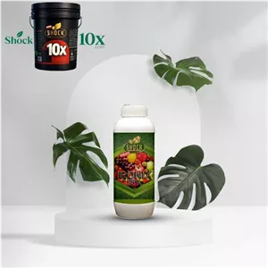 کود آهن شوک 1 لیتری
