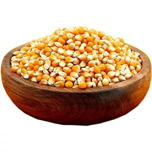دانه ذرت پفیلا با کیفیت