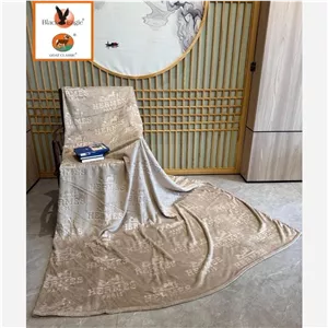 پتو مسافرتی هرمس دونفره