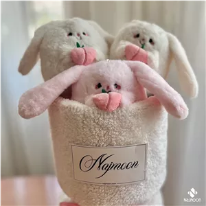 بوکت عروسک خرگوش هلو به دست و دستگل خرگوشی