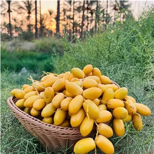 خارک شیرین و درجه یک جنوبی ارسال باچاپار
