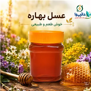 عسل بهاره دانیوا طبیعی 