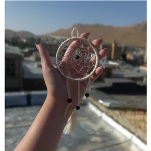 دریم کچر کرم