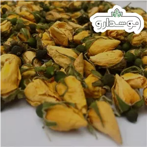 غنچه نسترن (گل زرد) 1 کیلویی (پسکرایه)