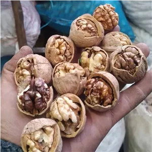 گردو اقتصادی تویسرکان 