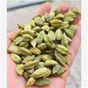  دانه هل سبز اکبر  محصول درجه یک ازمحصولات ارگانیک وتازه مامانا فروش به صورت جزئی وکلی قابل سفارش هست 