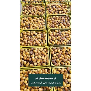 رطب عسلی تازه محصول امسال(خارک)