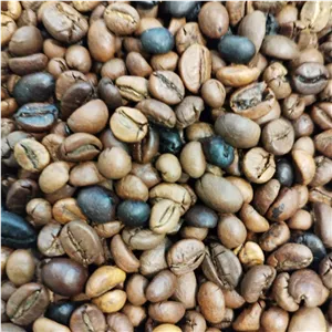 میکس 100 ربوستا 500 گرمی فول کافئین