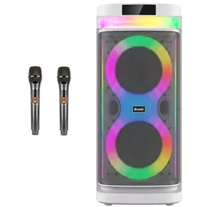اسپیکر پارتی باکس قابل حمل به همراه دو میکروفن مدل Brodu BTS-2407