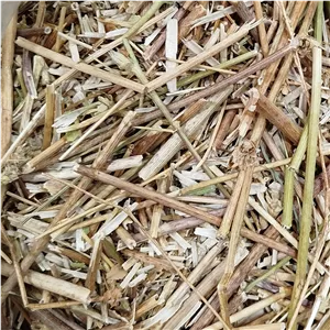500 گرم چوب کاسنی درجه یک 