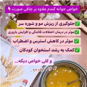 پودرجوانه. گندم. Hساشه 25عددی عالی بینن استار