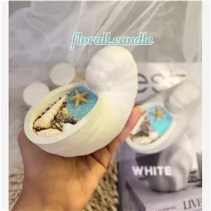 شمع شات دریایی صدف حلزونی(بزرگ)