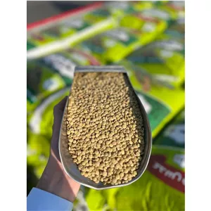 عدس اعلاء کانادایی