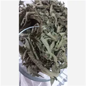 50 گرم برگ به لیمو، ارگانیک با عطر فوق العاده، بسیار با کیفیت