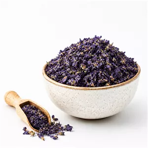 خرید گل بنفشه