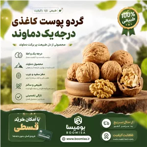 گردو پوست کاغذی درجه یک دماوند (3 کیلوگرمی)