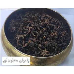 بادیان ستاره ای 100 گرمی اعلا معطر 