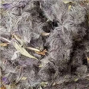 چای کوهی پک 100 گرمی