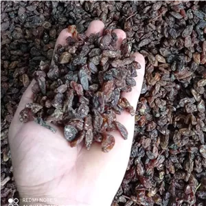 کشمش آفتابی آبگیری لوکس (10 کیلوی)