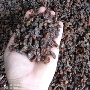 کشمش آفتابی آبگیری درجه یک 