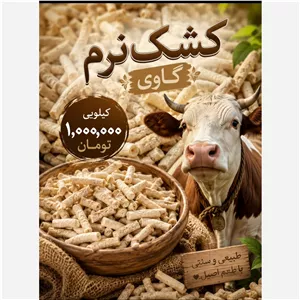 کشک نرم گاوی تازه و مقوی