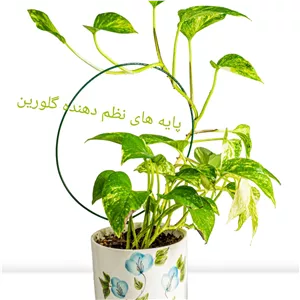 نظم دهنده حلقه ای گیاه آپارتمانی