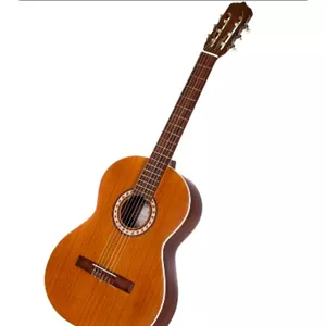 گیتار پارسی مدل M5