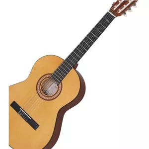 گیتار پارسی مدل M2