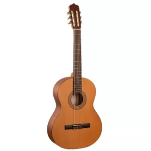 گیتار پارسی مدل M2 کد 4.4